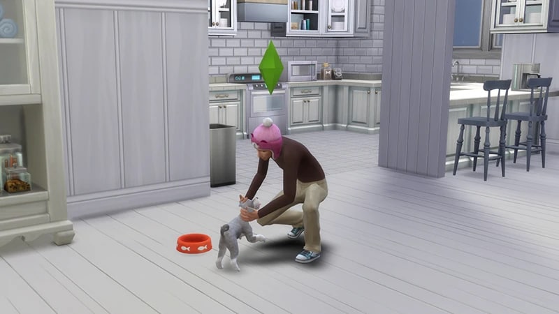 Персонаж в розовой шапочке и коричневом свитере, нагнувшись, гладит белую собачку.